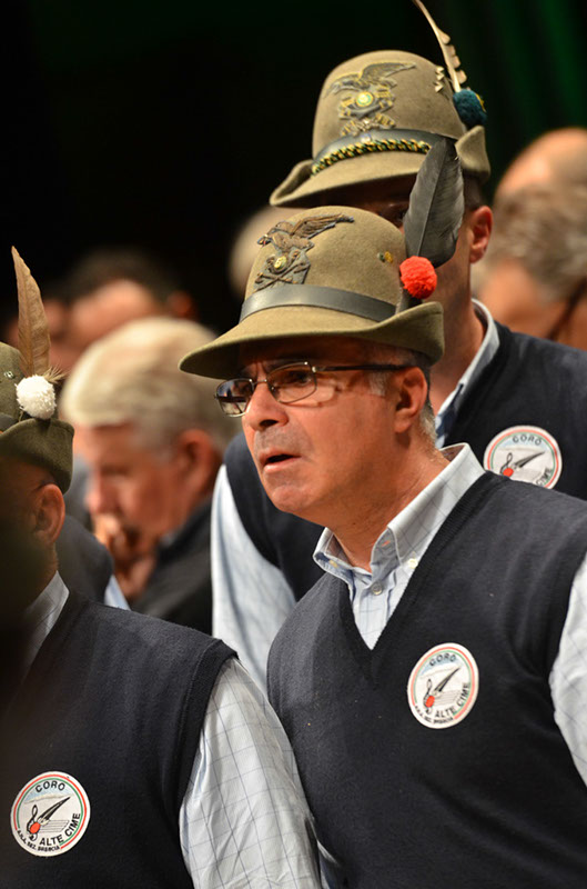 %_tempFileNameALPINI34%